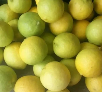 Lemon – 500gm