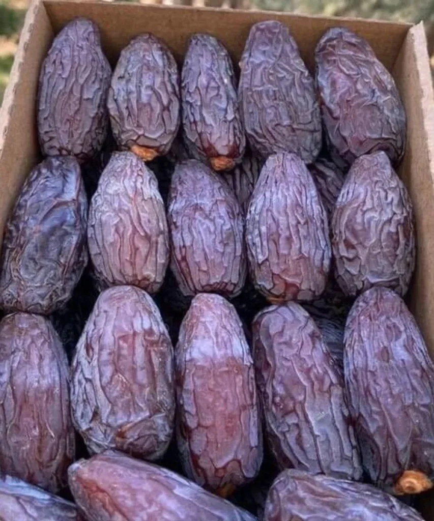 Madjool Super Jumbo