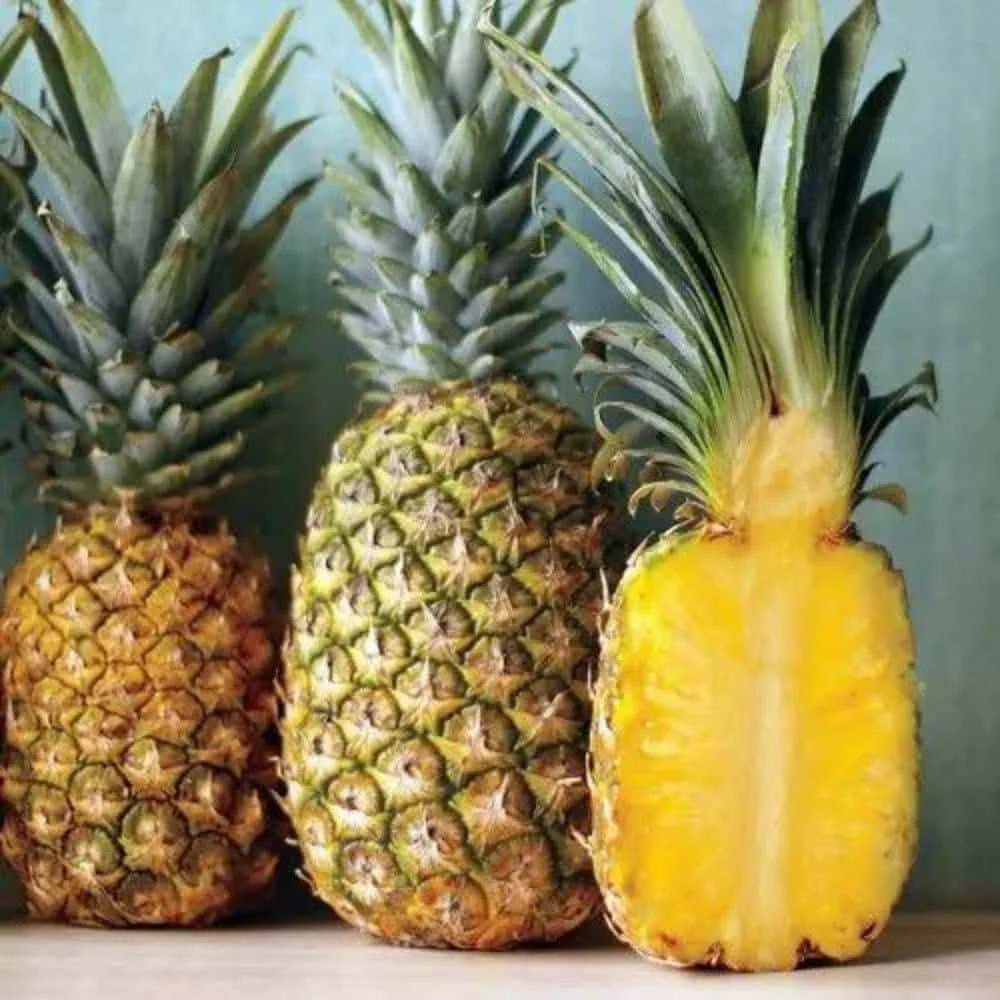 Queen Pineapple 1Piece