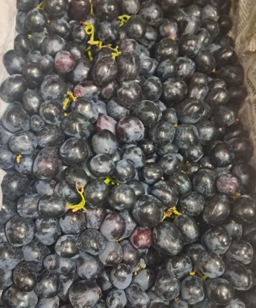 Black grapes - 1kg