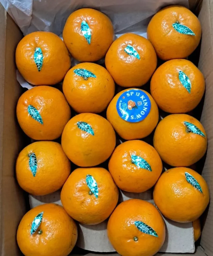 Kinnow - 2kg