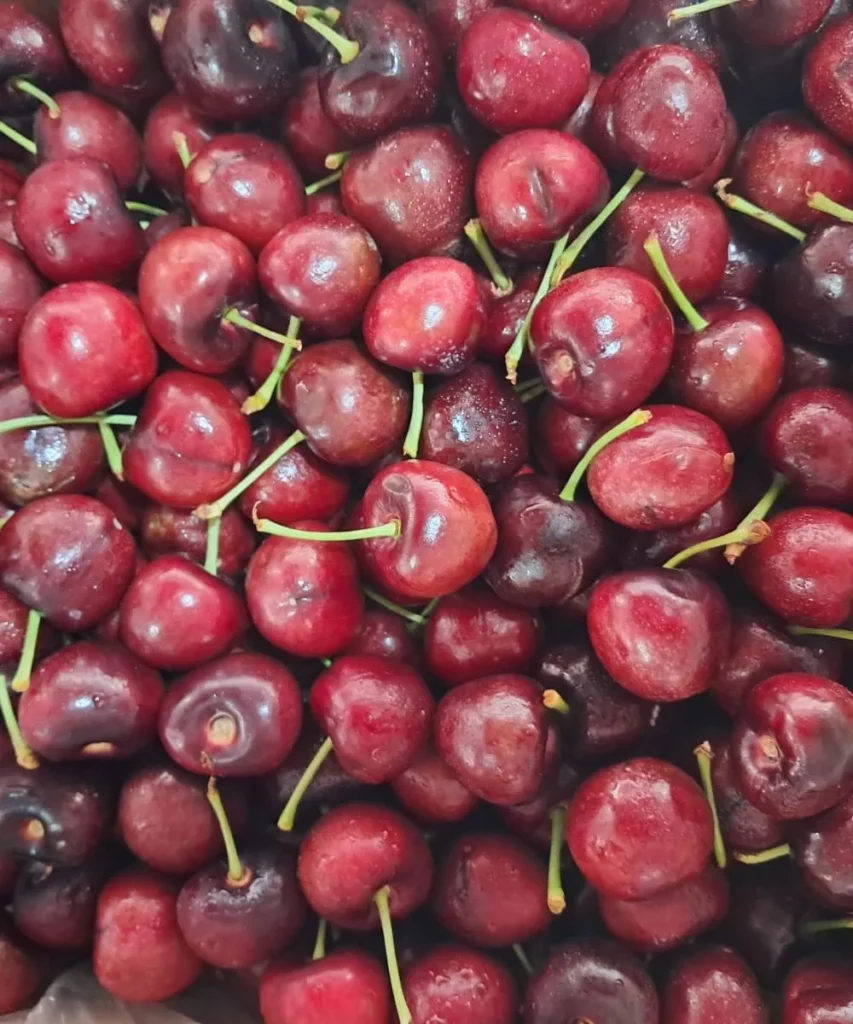 cherry Imported- ( USA )