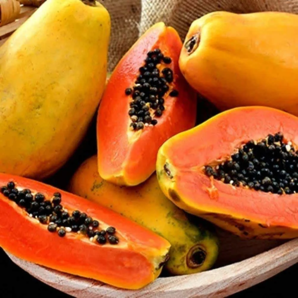 Papaya
