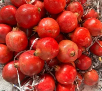 Anar – 10 Kg Box ( pomegranate )