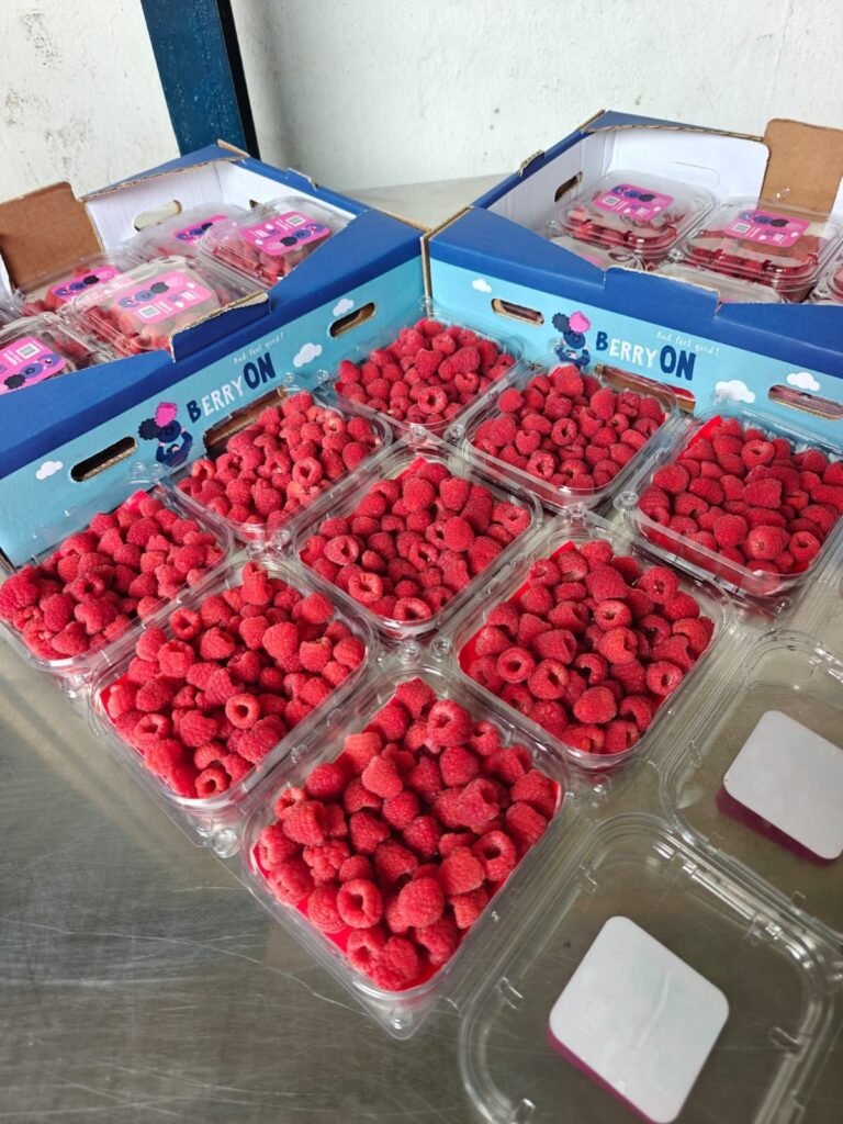 Raspberries (Thailand)